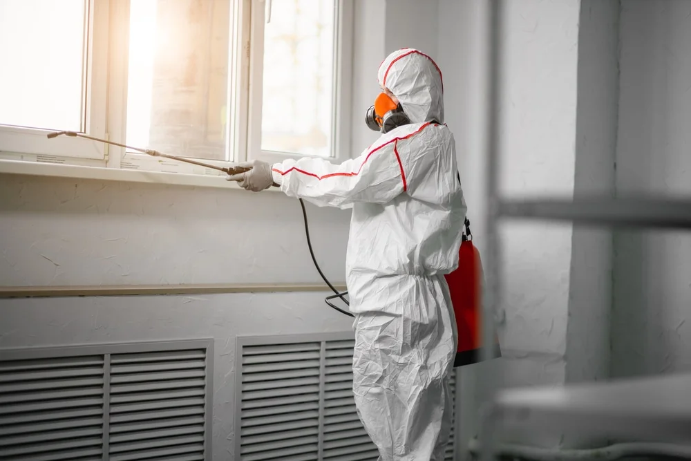 Professional mold remediation services in Sauk Rapids, MN